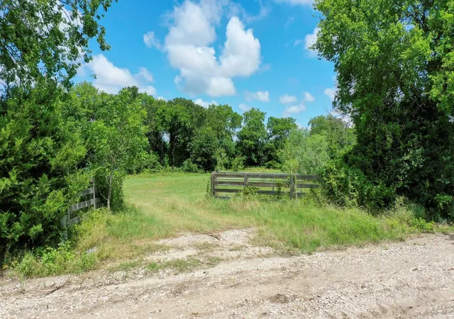 Photo 2 of Land for sale at 4853 Fm 1428, Madisonville, TX 77864 | MLS# 21604602 | Listing updated on 2026-08-05