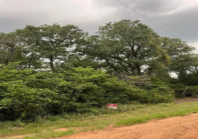 Photo 5 of Land for sale at 2 Navarro Dr, Normangee, TX 77871 | MLS# 47654837 | Listing updated on 2024-06-05