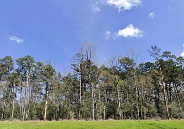 Homes for sale in New Waverly, TX | 156 Longfellow Rd, New Waverly, TX 77358 | MLS# 42683119