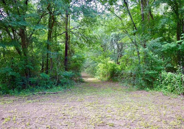 Photo 2 of Land for sale at Tbd Sharp Rd, Montgomery, TX 77356 | MLS# 51905351 | Listing updated on 2026-08-26