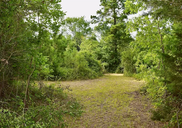 Photo 3 of Land for sale at Tbd Sharp Rd, Montgomery, TX 77356 | MLS# 51905351 | Listing updated on 2026-08-26