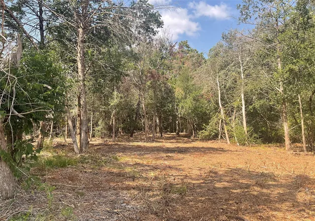 Photo 2 of Land for sale at 2805 Deer Rd, Brenham, TX 77833 | MLS# 77541846 | Listing updated on 2026-09-02