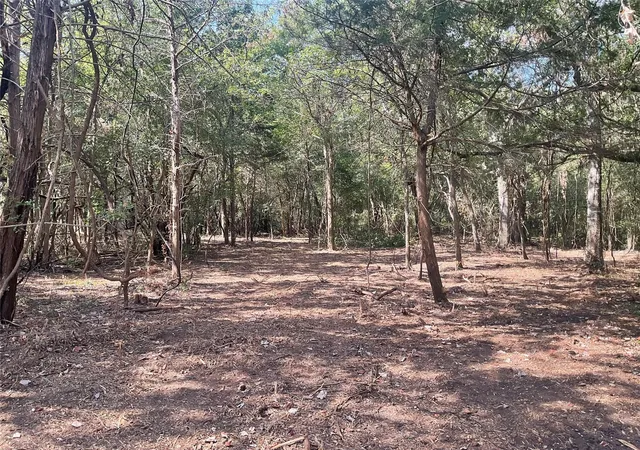 Photo 3 of Land for sale at 2805 Deer Rd, Brenham, TX 77833 | MLS# 77541846 | Listing updated on 2026-09-02