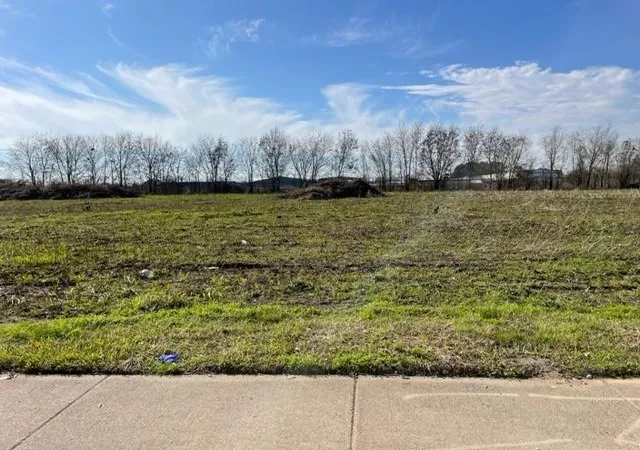 2nd image of 0 Bissonnet, Houston, TX 77099 | MLS# 5006520