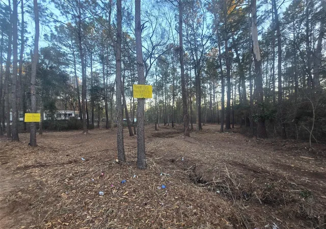 Land for sale at 8358 Soapberry Ln, Plantersville, TX 77363 | MLS# 54477791