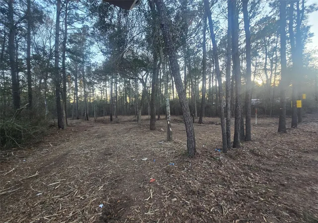 Photo 1 of Land for sale at 8358 Soapberry Ln, Plantersville, TX 77363 | MLS# 54477791 | Listing updated on 2026-03-13