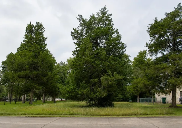 1st image of Tbd St Andrews Dr, New Ulm, TX 78950 | MLS# 74893040