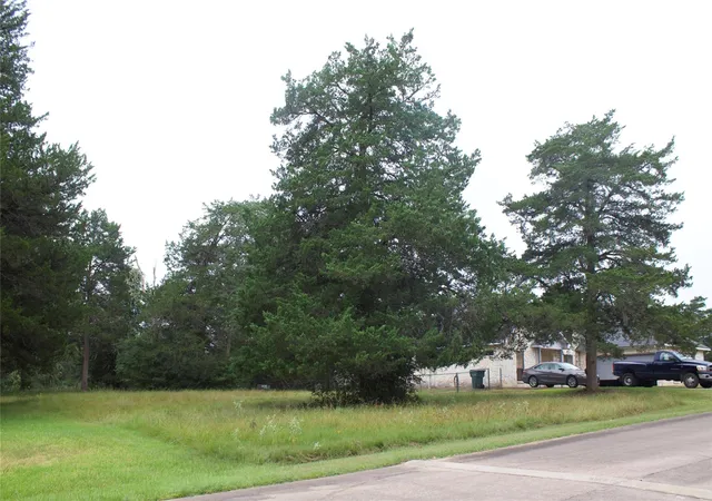 2nd image of Tbd St Andrews Dr, New Ulm, TX 78950 | MLS# 74893040