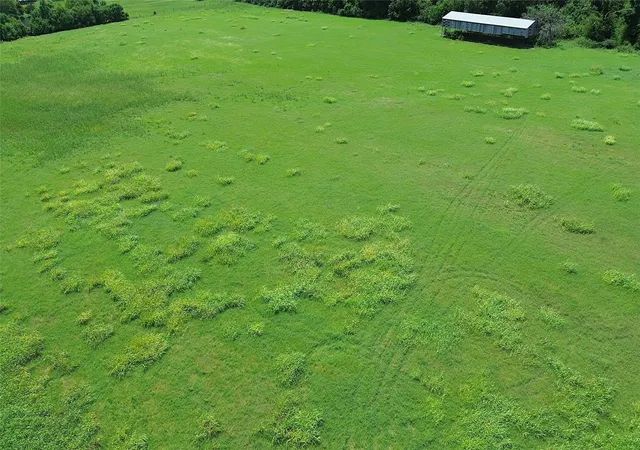 Photo 3 of Sale Pending at Tbd E Sh 21, Crockett, TX 75835 | MLS# 91248500 | Listing updated on 2026-10-05