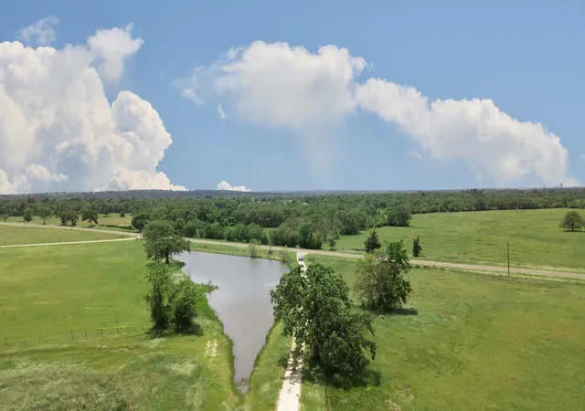 Homes for sale in Bedias, TX | 15130 Fm 39 Rd, Bedias, TX 77831 | MLS# 73077607