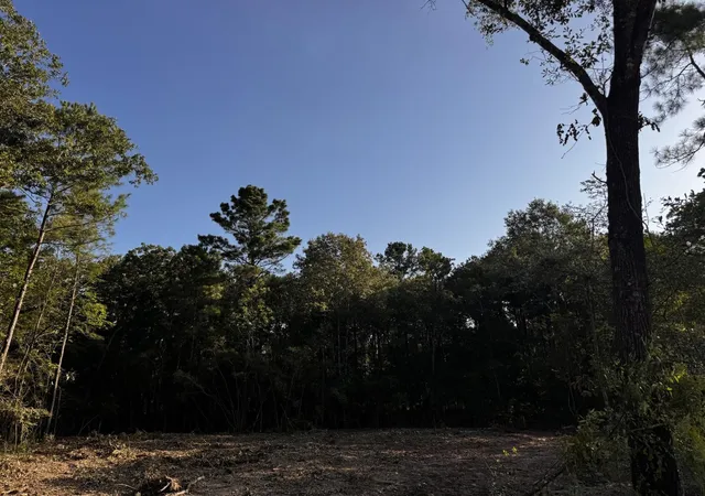 Photo 3 of Land for sale at Tbd Stillwater Cove Dr, Montgomery, TX 77356 | MLS# 79581232 | Listing updated on 2026-08-29