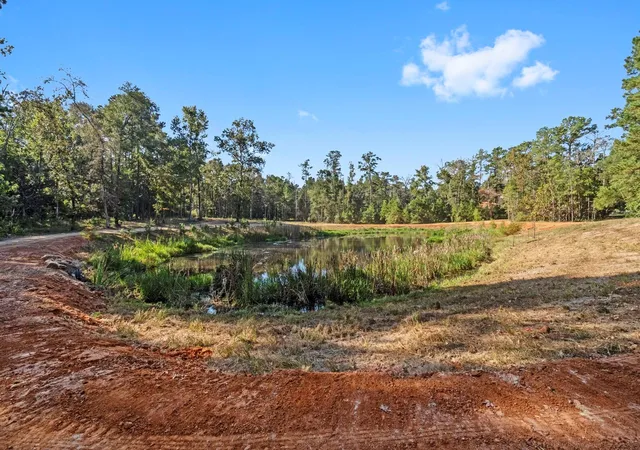 22nd image of 7015 Woodlake Trl, Montgomery, TX 77316 | MLS# 34809550