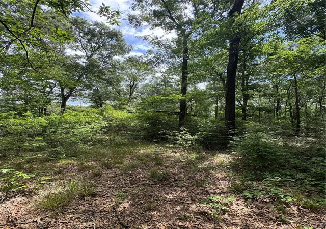4th image of 1136 Road 3802, Cleveland, TX 77328 | MLS# 10188809