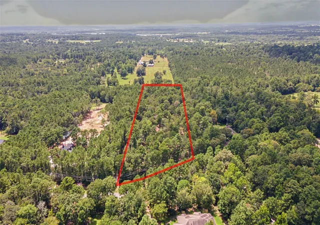 46th image of 83 Dahlia Rd, Huntsville, TX 77320 | MLS# 58261791