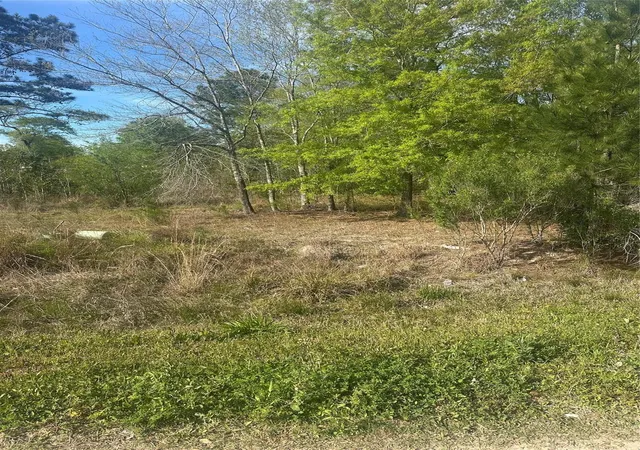 Photo 1 of Land for sale at 867 County Rd 3415, Cleveland, TX 77327 | MLS# 23541249 | Listing updated on 2026-03-20