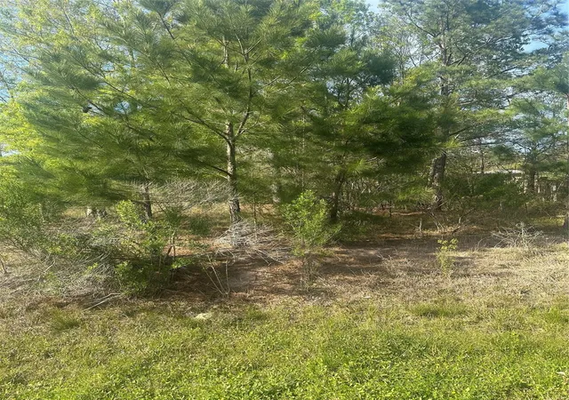 Photo 3 of Land for sale at 867 County Rd 3415, Cleveland, TX 77327 | MLS# 23541249 | Listing updated on 2026-03-20