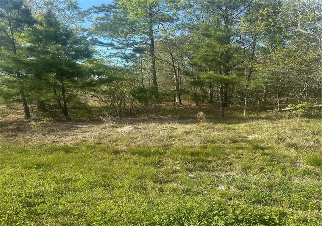 Photo 4 of Land for sale at 867 County Rd 3415, Cleveland, TX 77327 | MLS# 23541249 | Listing updated on 2026-03-20