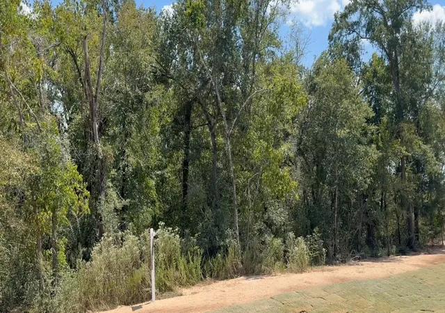 Photo 1 of Land for sale at 9734 Lakeside Oaks Dr Dr, Plantersville, TX 77363 | MLS# 12761114 | Listing updated on 2026-09-01