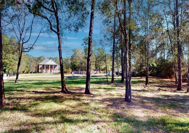 5th image of 28511 E Benders Landing Blvd, Spring, TX 77386 | MLS# 7843757