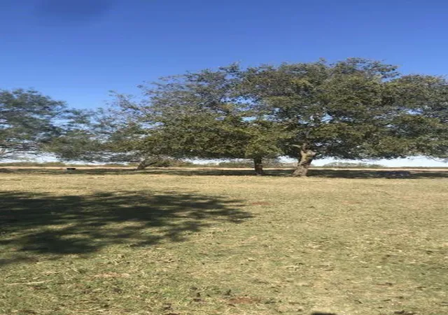 Photo 1 of Land for sale at 0 Lcr 300, Mart, TX 76664 | MLS# 70126259 | Listing updated on 2026-08-25