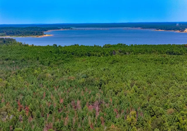 Photo 2 of Land for sale at 185 Oak Grove Rd, Huntington, TX 75949 | MLS# 23586588 | Listing updated on 2026-09-03