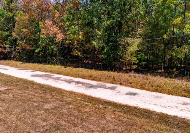 Photo 3 of Land for sale at 185 Oak Grove Rd, Huntington, TX 75949 | MLS# 23586588 | Listing updated on 2026-09-03
