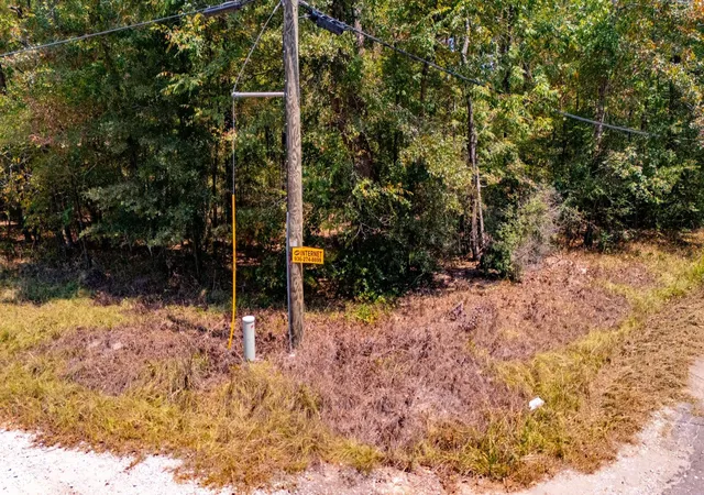 Photo 4 of Land for sale at 185 Oak Grove Rd, Huntington, TX 75949 | MLS# 23586588 | Listing updated on 2026-09-03