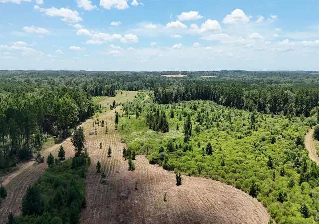 Photo 1 of Land for sale at Tbd Oakdale Loop, Livingston, TX 77351 | MLS# 37043409 | Listing updated on 2026-08-25