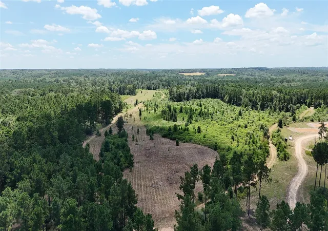 Photo 2 of Land for sale at Tbd Oakdale Loop, Livingston, TX 77351 | MLS# 37043409 | Listing updated on 2026-08-25