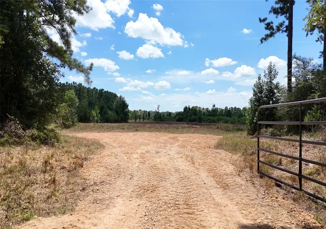 Photo 3 of Land for sale at Tbd Oakdale Loop, Livingston, TX 77351 | MLS# 37043409 | Listing updated on 2026-08-25