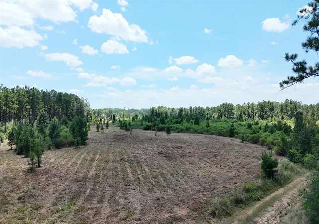 Photo 3 of Land for sale at Tbd Oakdale Loop, Livingston, TX 77351 | MLS# 37043409 | Listing updated on 2026-08-25