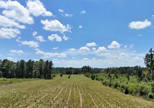 Photo 4 of Land for sale at Tbd Oakdale Loop, Livingston, TX 77351 | MLS# 37043409 | Listing updated on 2026-08-25