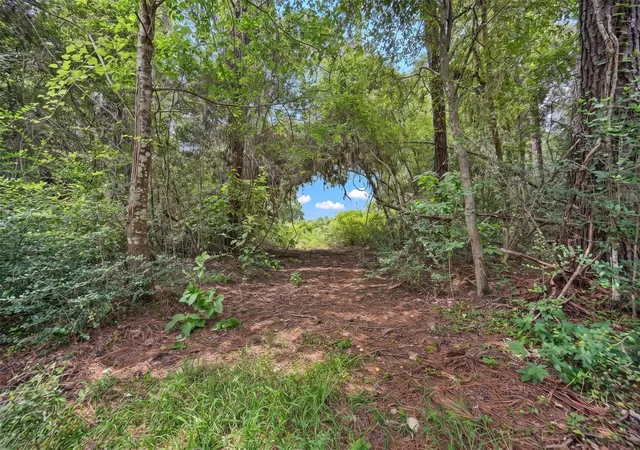 2nd image of Lot Two, 3340 County Road 325, Navasota, TX 77868 | MLS# 32870223