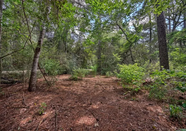 5th image of Lot Two, 3340 County Road 325, Navasota, TX 77868 | MLS# 32870223