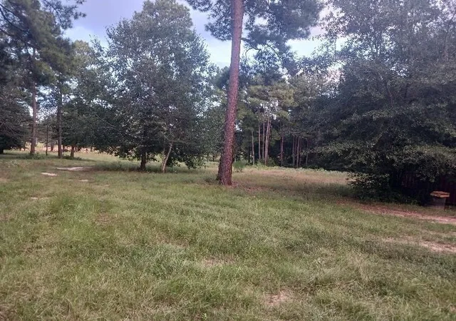 1st image of 24140 Grand Pines Rd Rd, Magnolia, TX 77355 | MLS# 65518439