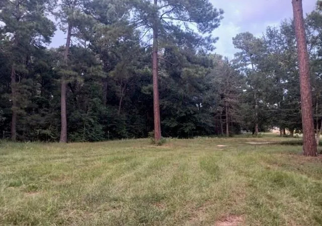2nd image of 24140 Grand Pines Rd Rd, Magnolia, TX 77355 | MLS# 65518439