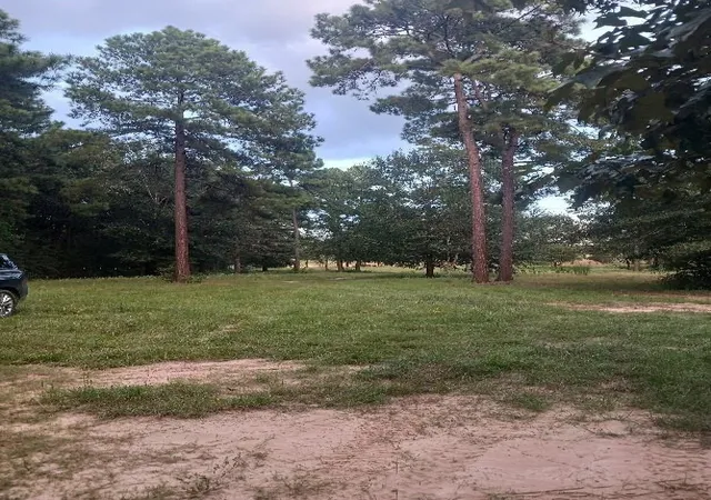 3rd image of 24140 Grand Pines Rd Rd, Magnolia, TX 77355 | MLS# 65518439