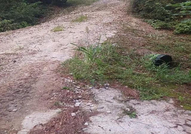 4th image of 24140 Grand Pines Rd Rd, Magnolia, TX 77355 | MLS# 65518439