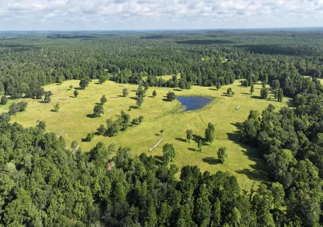 Photo 36 of Land for sale at Tbd Walker Ln Ln, Huntsville, TX 77320 | MLS# 22150138 | Listing updated on 2026-08-03