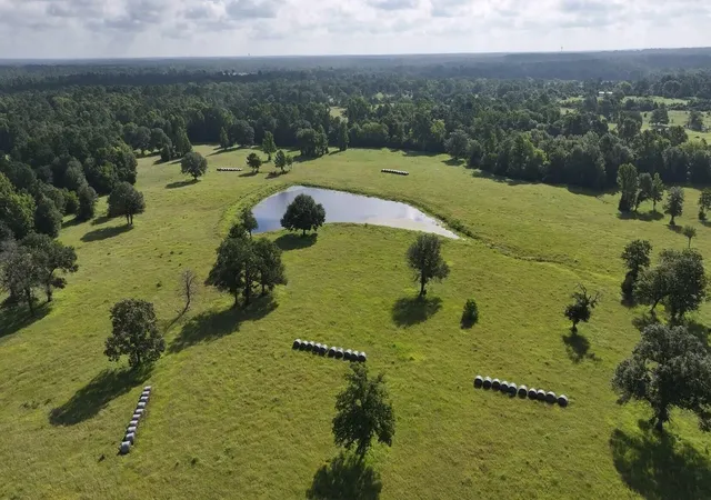 Photo 2 of Land for sale at Tbd Walker Ln Ln, Huntsville, TX 77320 | MLS# 22150138 | Listing updated on 2026-08-03