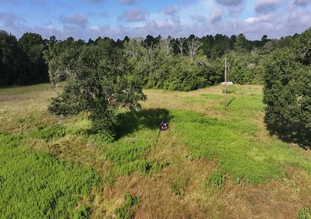 Photo 4 of Land for sale at Tbd Walker Ln Ln, Huntsville, TX 77320 | MLS# 22150138 | Listing updated on 2026-08-03