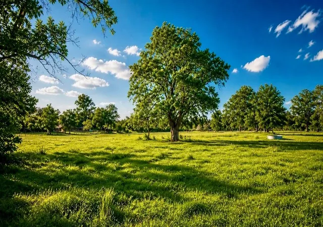2nd image of 0 County Road 42, Rosharon, TX 77583 | MLS# 46740764