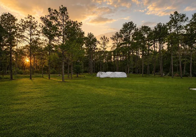 Photo 3 of Mansion for sale at 1031 Hunters Crk Way, Hockley, TX 77447 | MLS# 61588647 | Listing updated on 2026-07-09