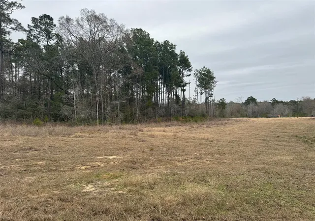 Photo 4 of Land for sale at 14-37-61A Dipping Vat Rd, New Waverly, TX 77358 | MLS# 75707554 | Listing updated on 2025-06-16