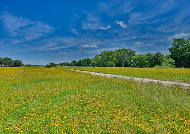 Photo 4 of Land for sale at 2165 County Rd 250, Weimar, TX 78962 | MLS# 91972204 | Listing updated on 2026-09-10
