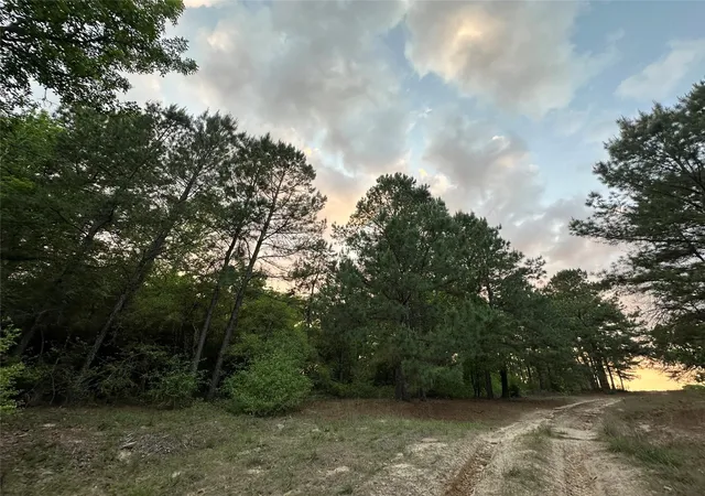 Homes for sale in Centerville, TX | Lot 85 Pr 1317, Centerville, TX 75833 | MLS# 74401763