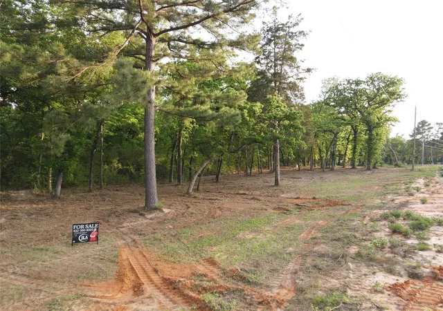 Homes for sale in Centerville, TX | Lot 85 Pr 1317, Centerville, TX 75833 | MLS# 74401763