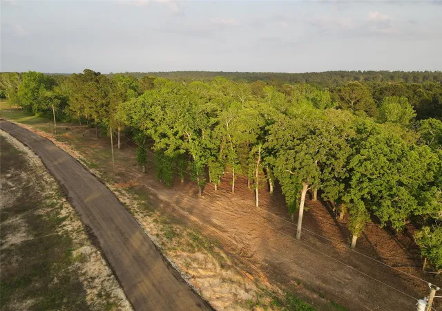 Homes for sale in Centerville, TX | Lot 85 Pr 1317, Centerville, TX 75833 | MLS# 74401763