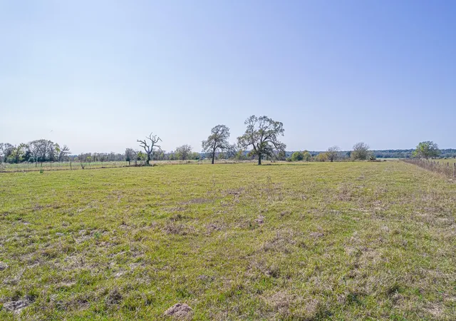 Photo 3 of Land for sale at 28 Acres Shaws Bnd Rd, Columbus, TX 78934 | MLS# 33301018 | Listing updated on 2026-05-20