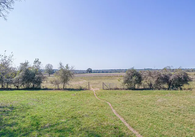 Photo 4 of Land for sale at 28 Acres Shaws Bnd Rd, Columbus, TX 78934 | MLS# 33301018 | Listing updated on 2026-05-20